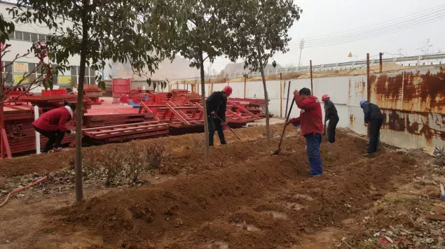 鋼模板廠(chǎng)家播下希望，收獲果實(shí)