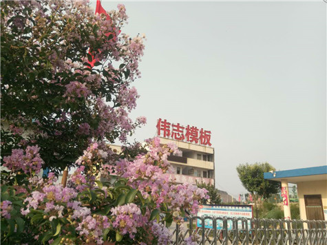 專業(yè) 專注，河南偉志模板在2018年期待您的光臨