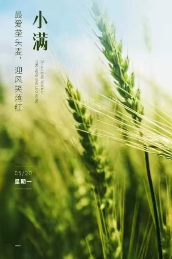 小滿即安，未來可期！