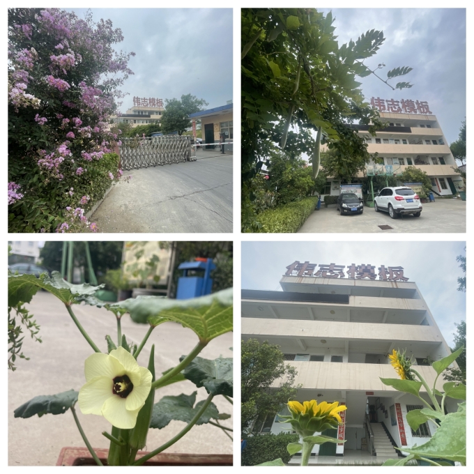 夏至來(lái)臨，期待美好